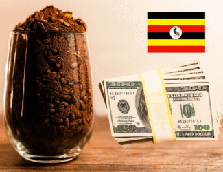 A clear glass filled with ground and whole coffee beans sits on a wooden surface. Beside it, a stack of U.S. hundred-dollar bills is bundled with a yellow band, and the Ugandan flag appears in the background, symbolizing coffee export earnings