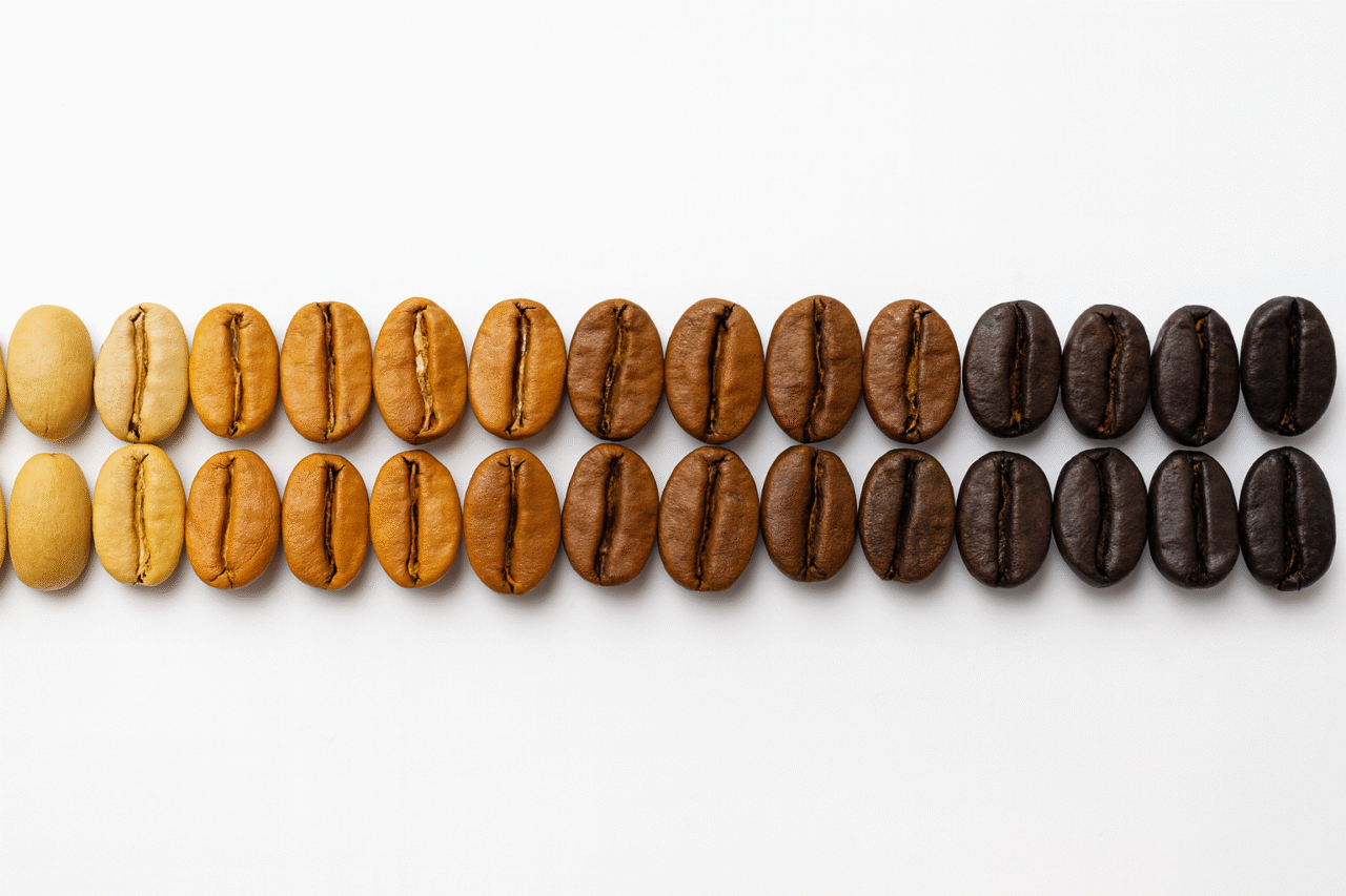 A high-resolution image showing rows of coffee beans arranged from left to right in a gradual color transition—from unroasted pale greenish-yellow to lightly roasted golden, medium brown, and finally to dark, almost black roasted beans—displayed on a clean white background.