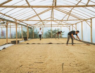 Tanamera Coffee has been working alongside Indonesian coffee farmers for more than a decade.