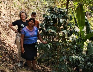 RAW Coffee Company co-founders Ms. Kim and Mr. Matt stand with Mexican coffee farmer Maria Lopez beside a thriving coffee tree on her hillside farm.