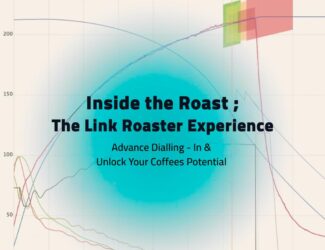 В глубинах обжарки: опыт Link Roaster в Дубае раскрывает секреты точного профилирования