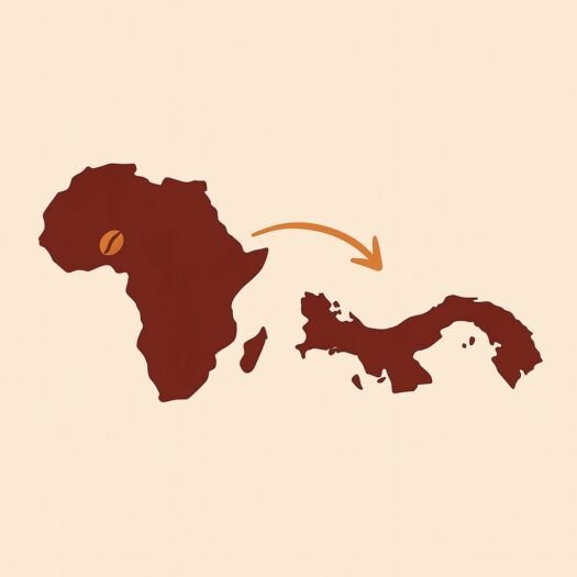 20 kg of Coffee Sold for $600,000: Gesha’s Journey Sets a Global Record