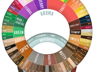 Online Sensory Training Reshapes Coffee Tasting Skills
