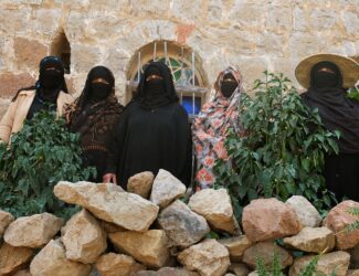 Living Legacy: Yemen’s Coffee Farmers Shine in Best of Yemen 2025