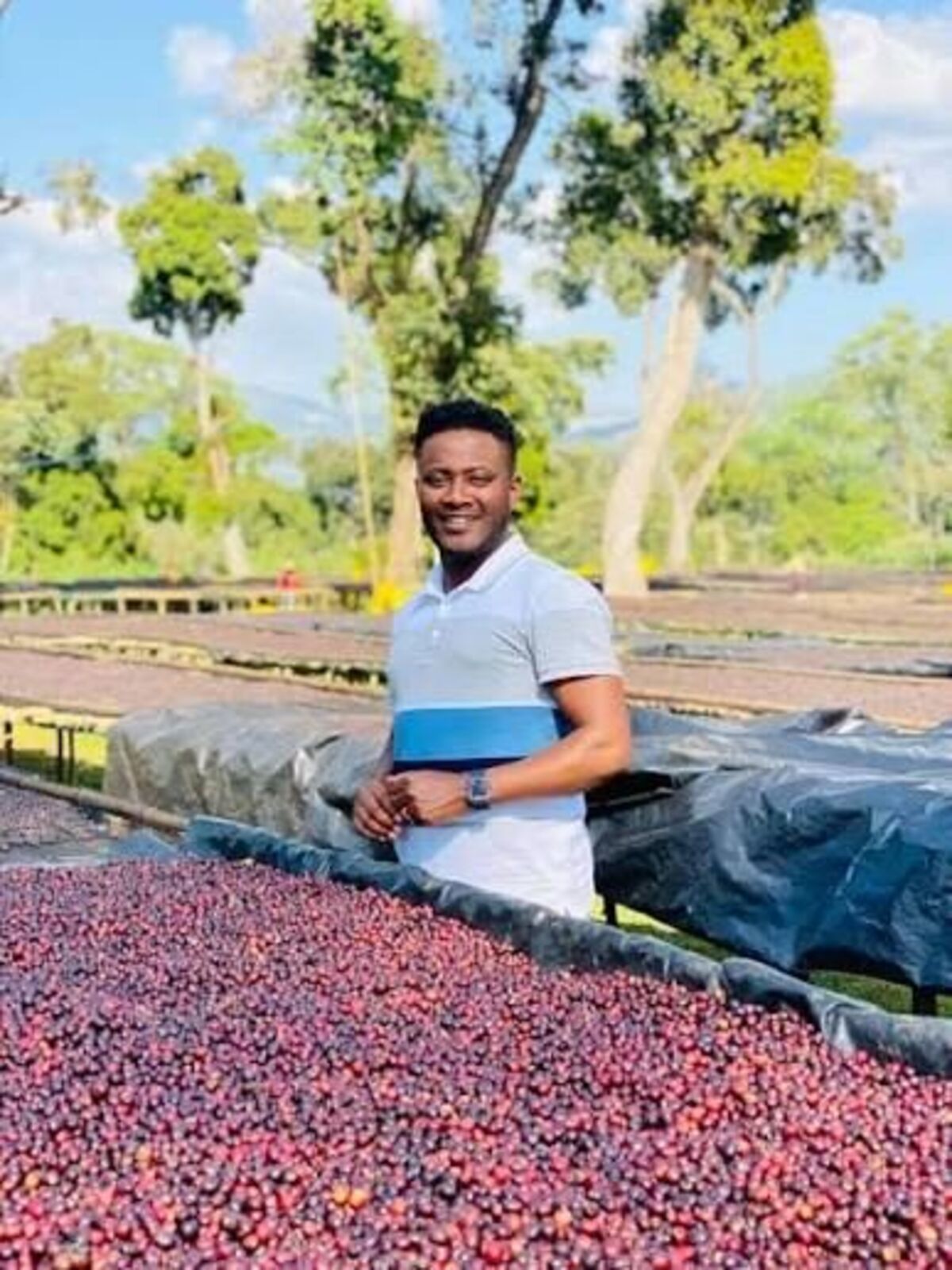 Ethiopian Coffee Sets World Record at Echoes of the Peak Auction