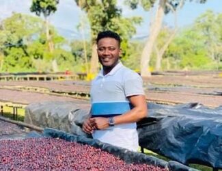 Ethiopian coffee has set a new world record. At the Echoes of the Peak auction hosted by M-Cultivo, Alo Coffee achieved an astonishing US $1739 per kilogram – the highest price ever fetched by Ethiopian coffee.