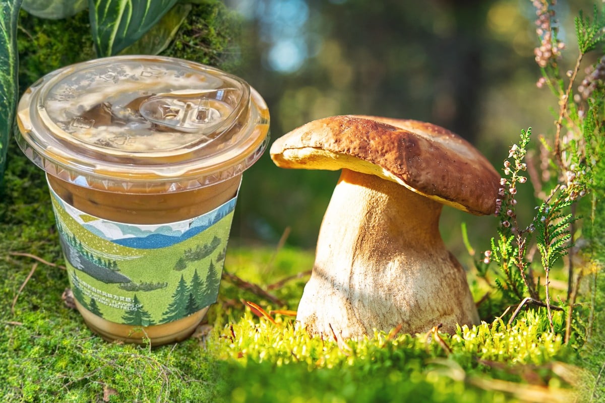 Yunnan café’s US$3 penny-bun mushroom latte draws crowds—and debate