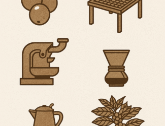 "A set of sepia-toned illustrations showing the journey of coffee: a ripe coffee cherry, a drying table, a roasting machine, a pour-over dripper, a kettle, and a coffee plant branch with cherries."