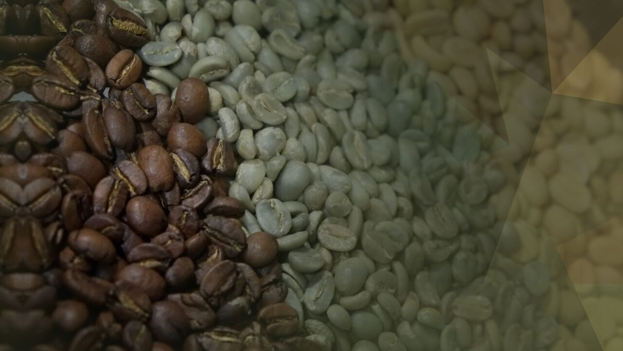 DMCC Coffee Centre Warns: Supply Chain Pressures and Tariffs Threaten Global Coffee Trade