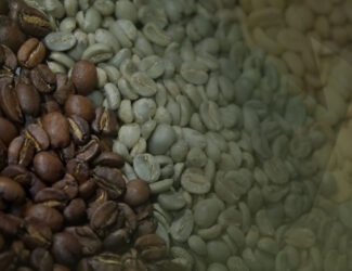 DMCC Coffee Centre Warns: Supply Chain Pressures and Tariffs Threaten Global Coffee Trade