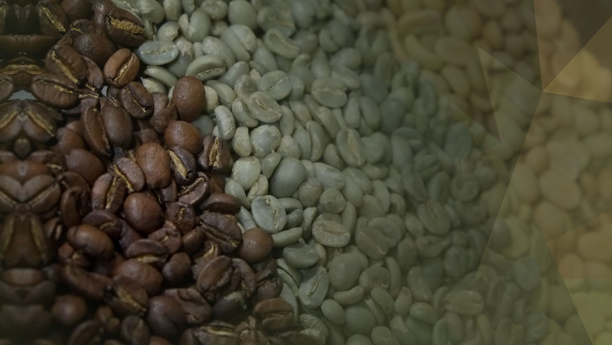 DMCC Coffee Centre Warns: Supply Chain Pressures and Tariffs Threaten Global Coffee Trade