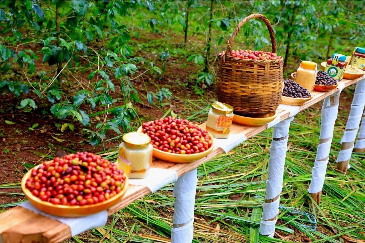 Ethiopia Raises Capital Requirements for Coffee Exporters in 2025