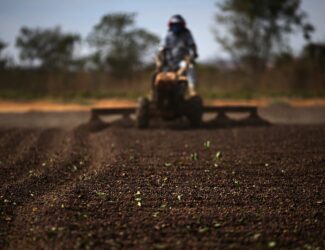 Brazil’s Coffee Paradox: Global Prices Drop While Local Costs Surge
