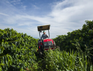 GCP RegenCoffee Guidance A framework for regenerative agriculture in coffee production