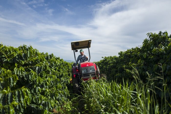 New GCP Guidance Sets Global Path for Regenerative Agriculture in Coffee Production