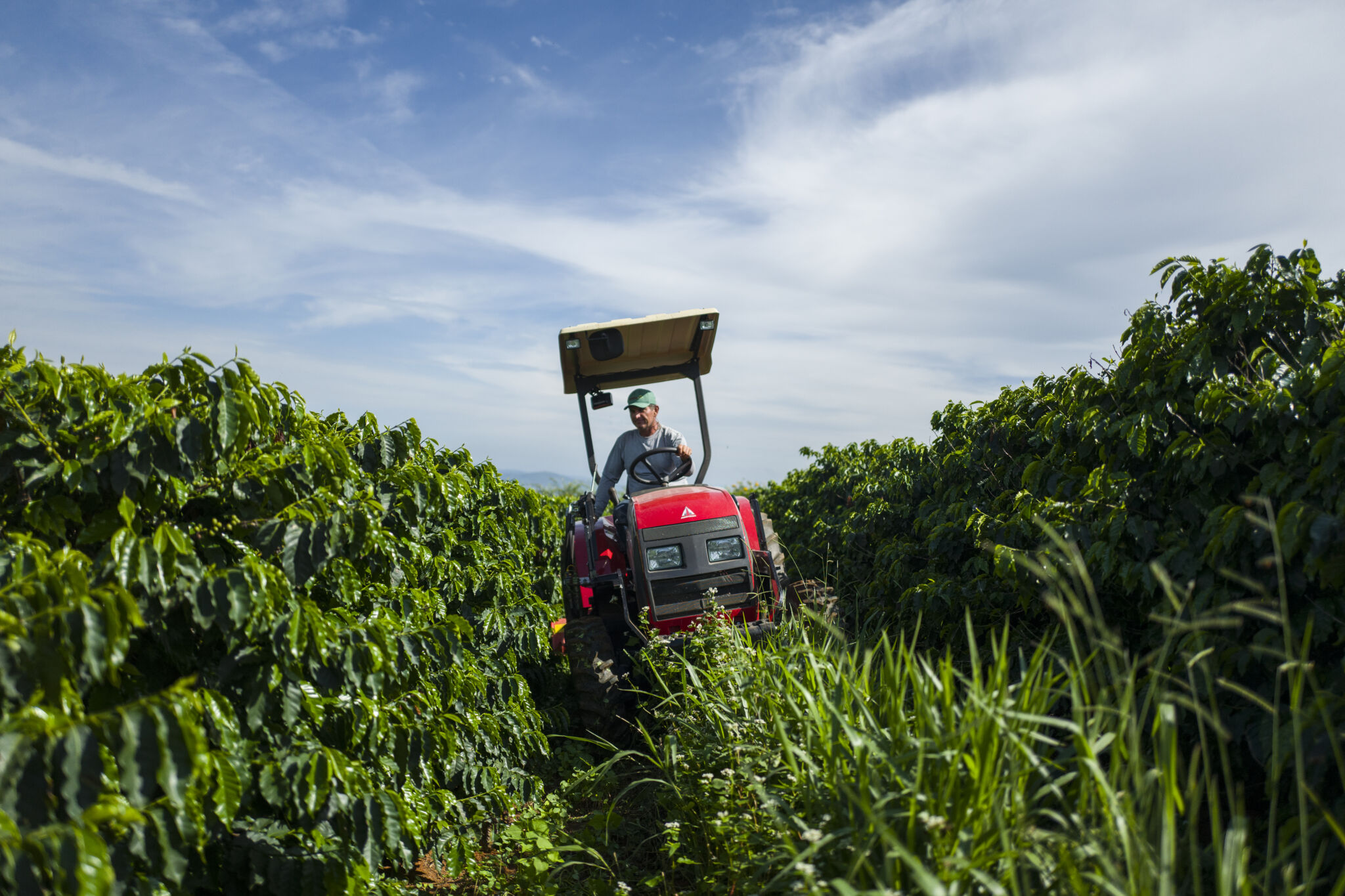 GCP RegenCoffee Guidance A framework for regenerative agriculture in coffee production