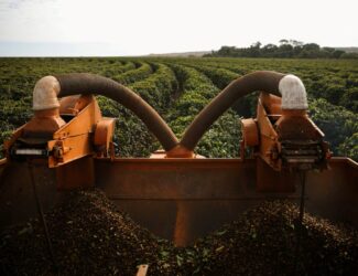 A coffee harvester working near Brasília, Brazil, highlighting tensions over the EU’s delayed deforestation law.