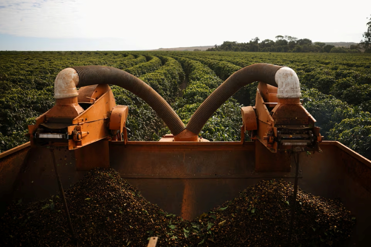 A coffee harvester working near Brasília, Brazil, highlighting tensions over the EU’s delayed deforestation law.