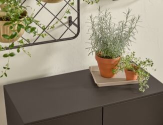 Alt Text (for the attached image): Potted plants on a cabinet painted in Krylon’s Matte Coffee Bean, reflecting the natural and earthy aesthetic of the 2026 Color of the Year.