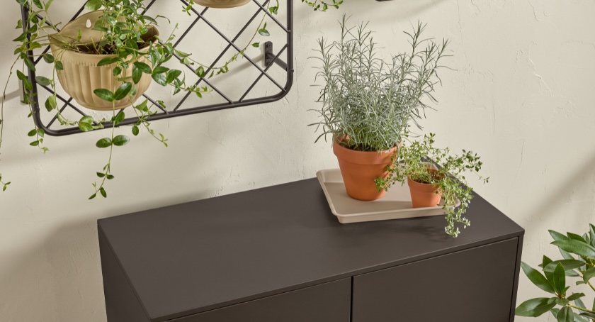 Alt Text (for the attached image): Potted plants on a cabinet painted in Krylon’s Matte Coffee Bean, reflecting the natural and earthy aesthetic of the 2026 Color of the Year.