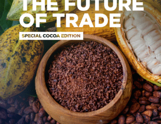 The Cocoa Paradox: How Global Shocks and Dubai’s Trade Ambitions Are Reshaping a  Billion Industry