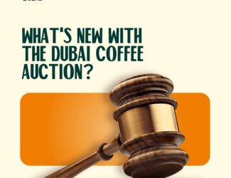 ما الجديد في مزاد دبي للقهوة 2026