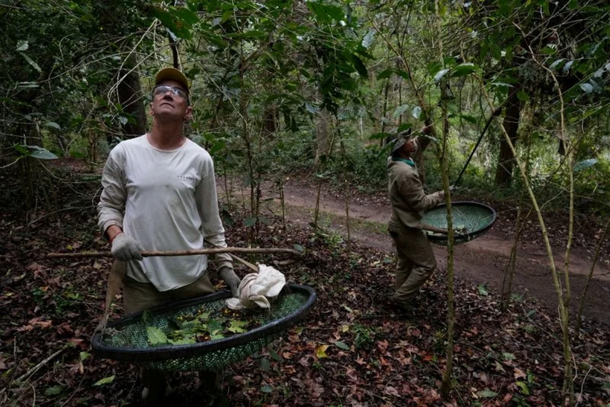 Trump’s Coffee Tariff Changes Redraw Global Supply Map