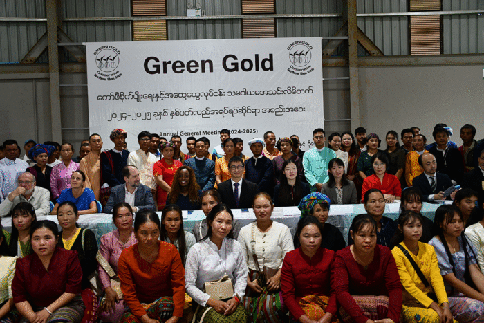 From Opium to Coffee: Myanmar Farmers Transform Their Livelihoods