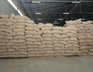 Ethiopia’s Prime Minister Unveils Major Coffee Warehouse Expansion in Oromia
