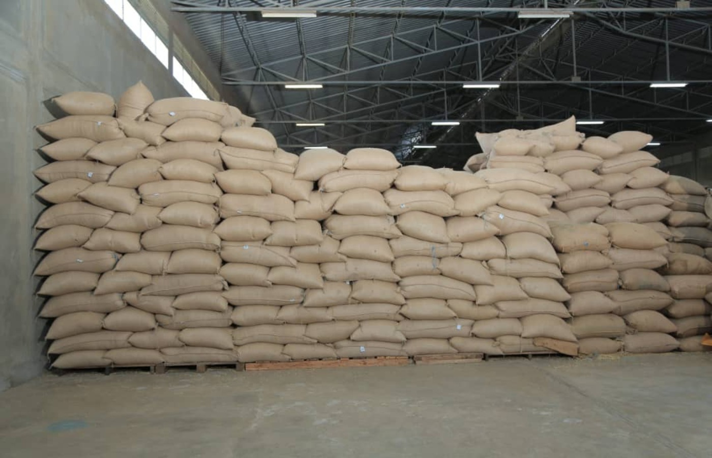 Ethiopia’s Prime Minister Unveils Major Coffee Warehouse Expansion in Oromia
