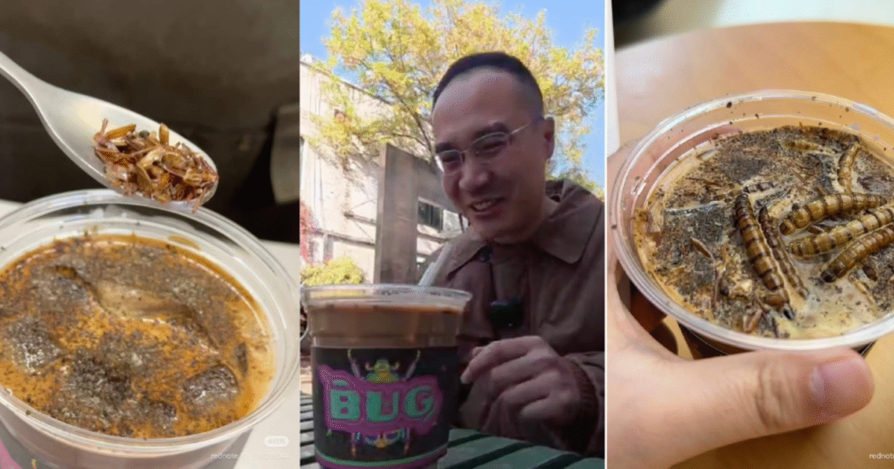 Kokroach Coffee in Beijing: Insect-Inspired Drink Sparks Curiosity and Debate