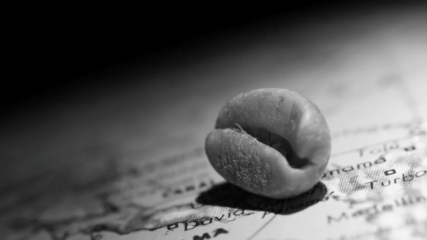 Panama Moves to Protect “Panama Geisha” as Auction Prices Reach Record Highs