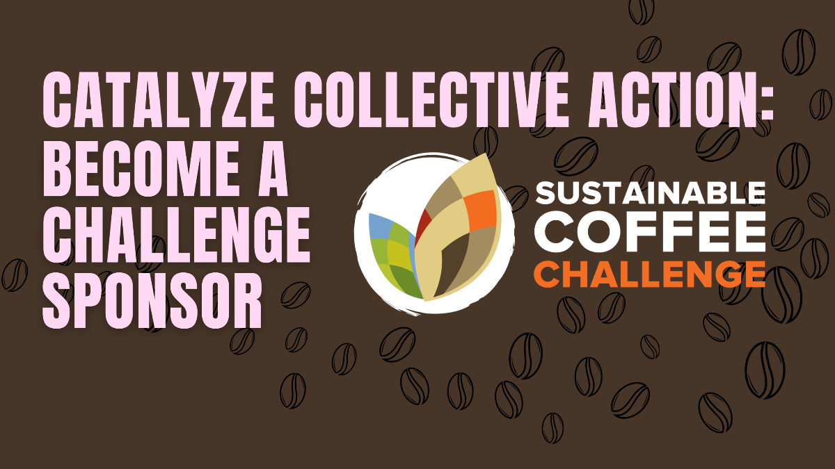 Sustainable Coffee Challenge Launches New Chapter Focused on Collective Climate and Nature Solutions