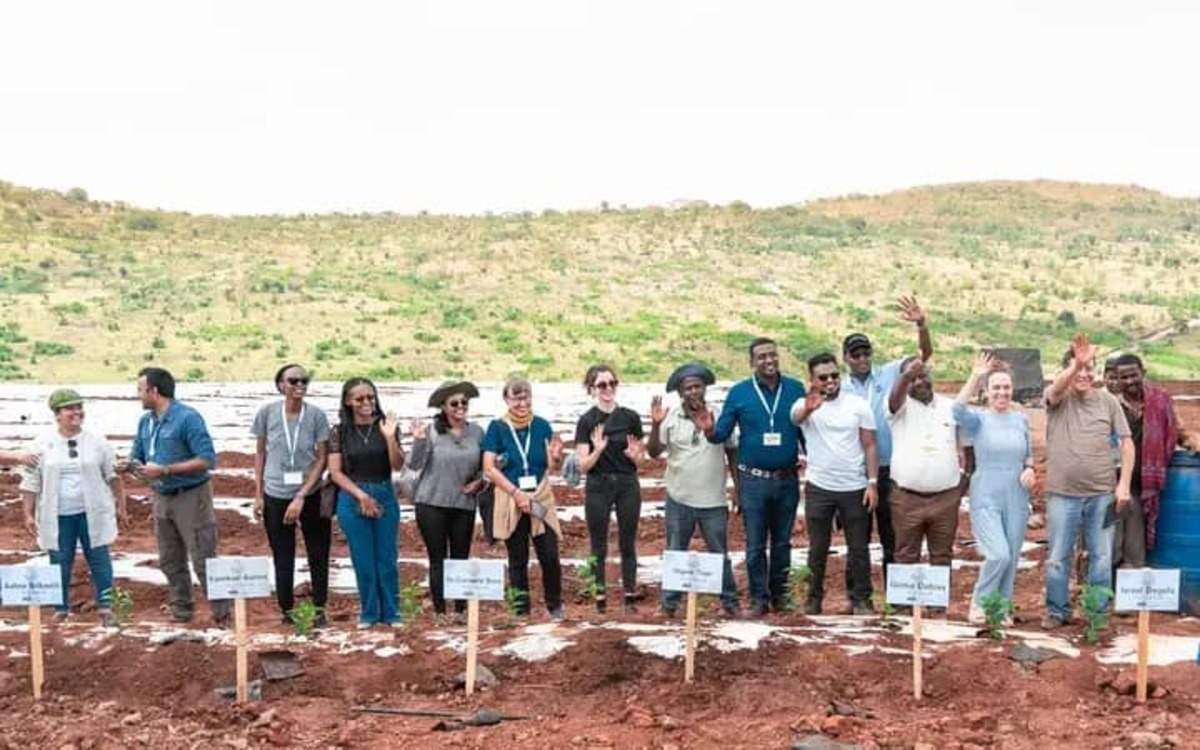 Kerchanshe COT 2: Deep Dive into Ethiopian Coffee Origins